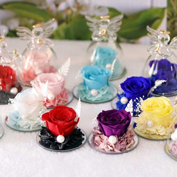 Bông hồng vĩnh cửu thiên thần