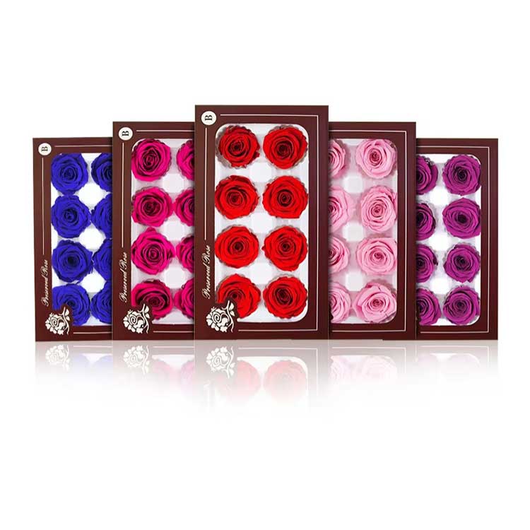 Hộp quà hoa hồng bất diệt 8 bông