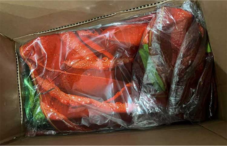 rose shaped foil balloons