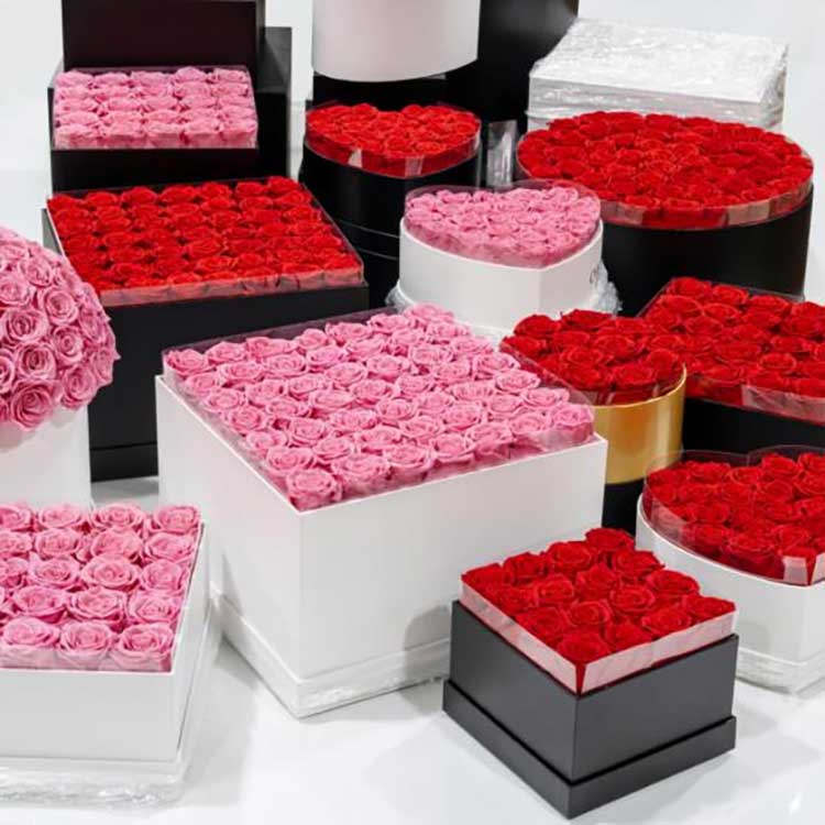 Xô ôm hoa bảo quản