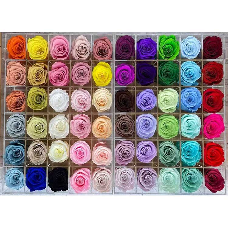 Hoa hồng bảo quản